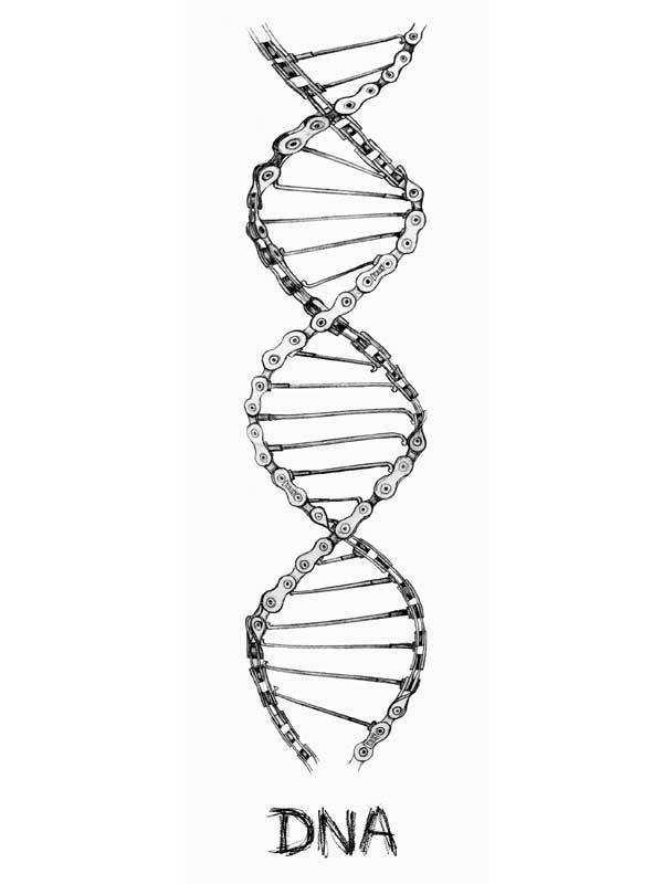 Bicycle chain forming DNA double helix design, unique cycling apparel graphic